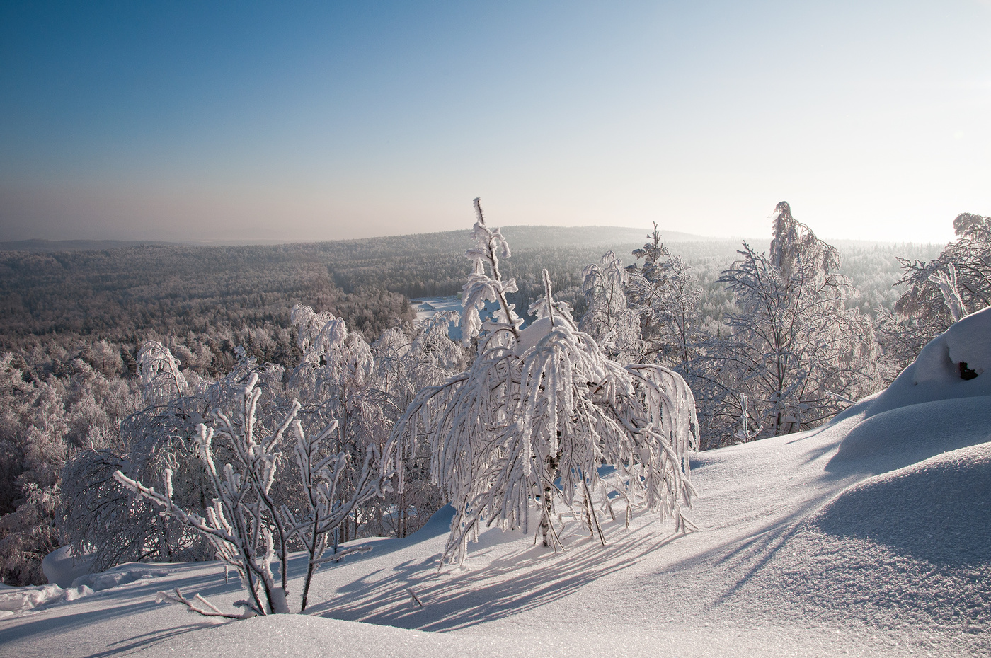 Морозный полдень