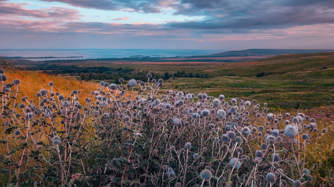 Волжский берег