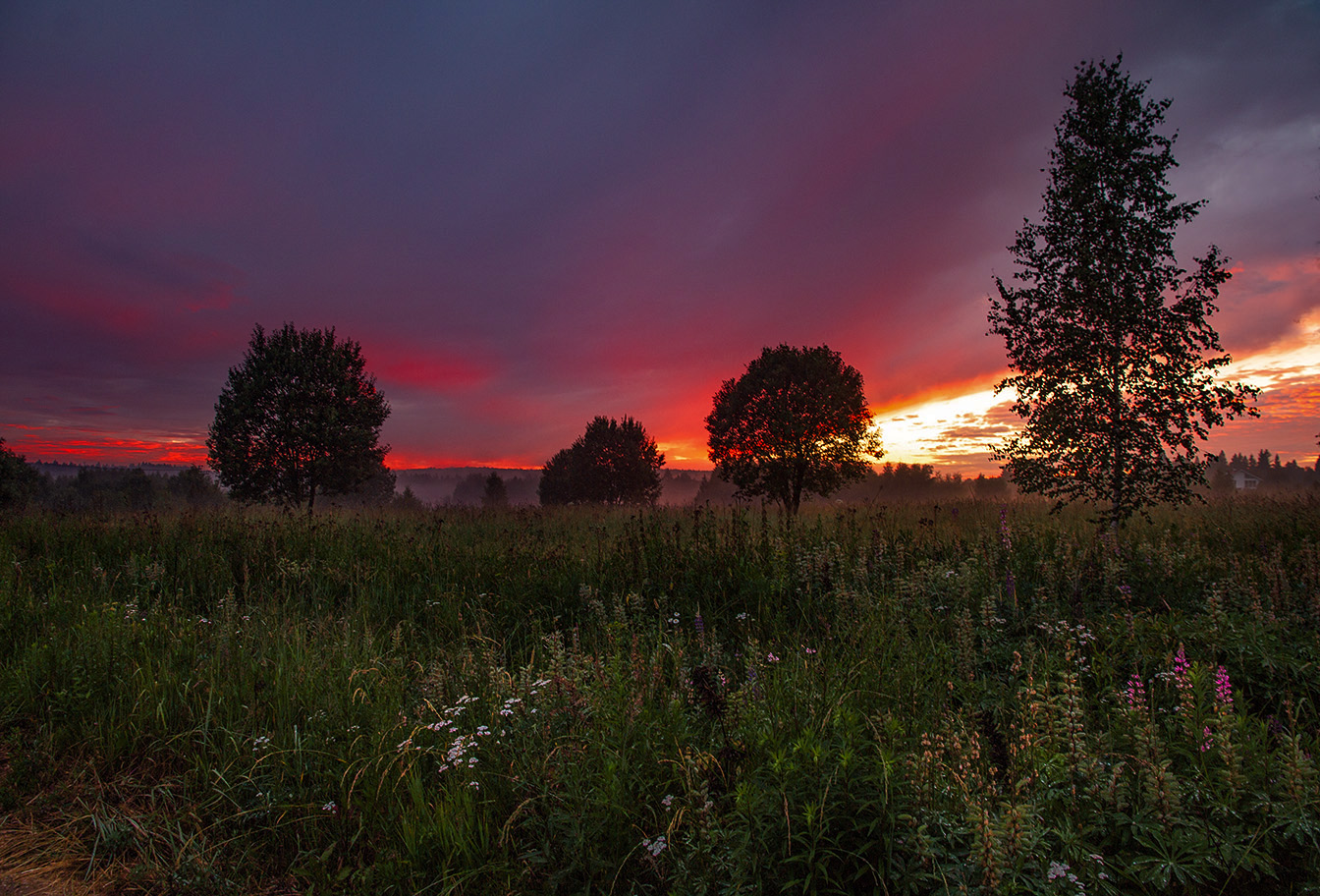 Перспектива покажет