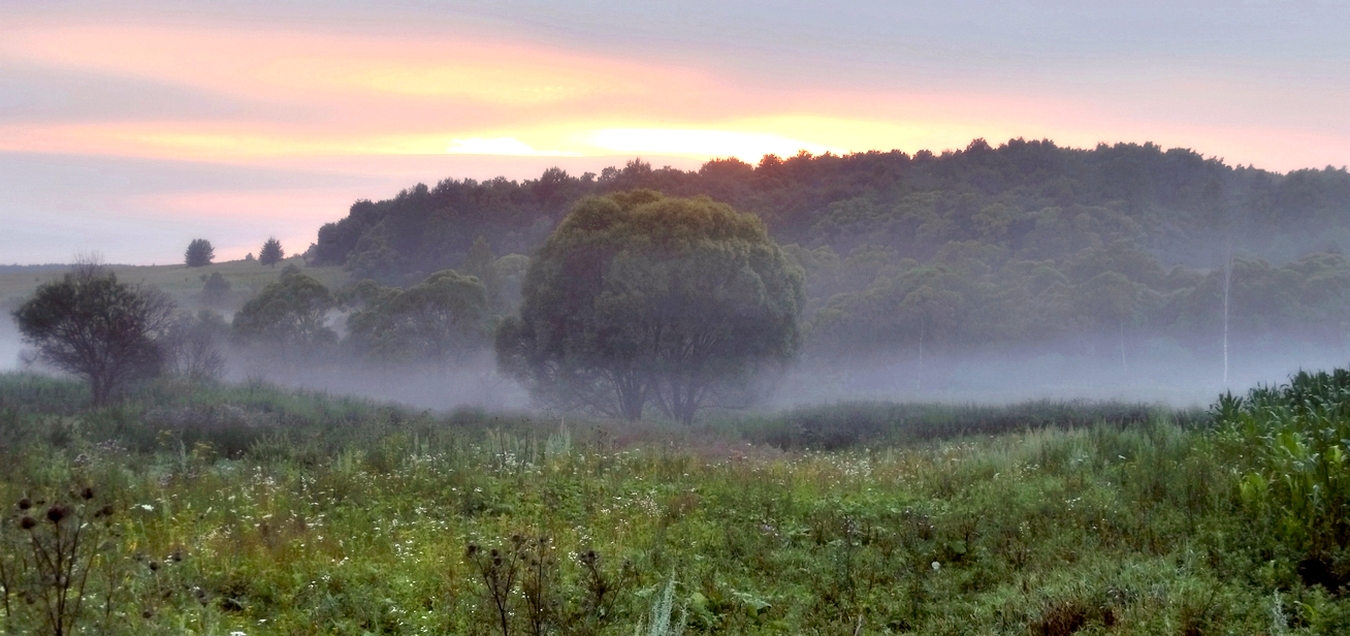 Утро раннее, туманное
