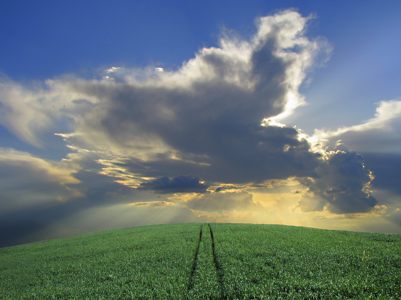 Перспектива покажет