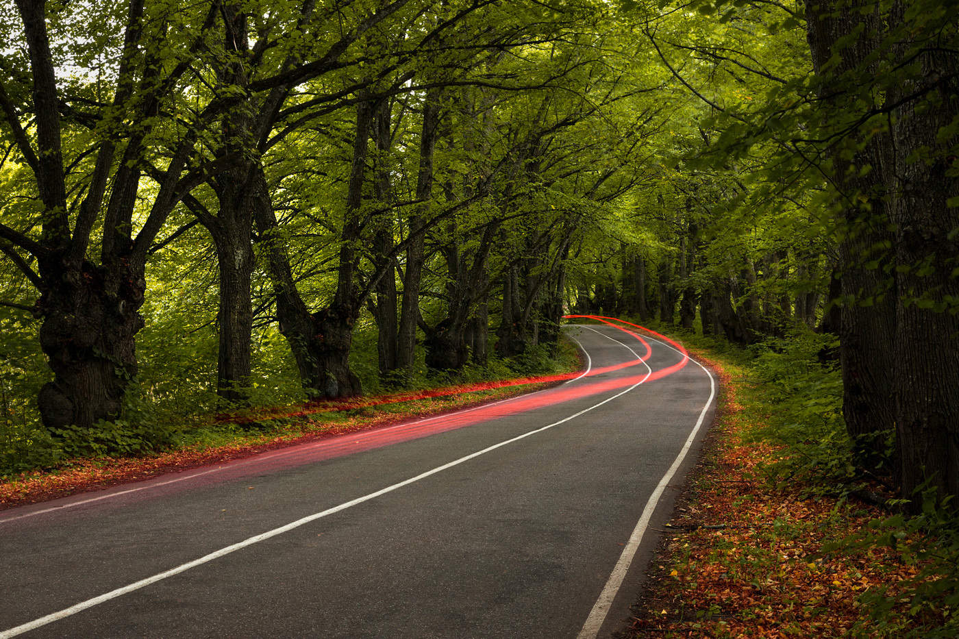 Перспектива покажет