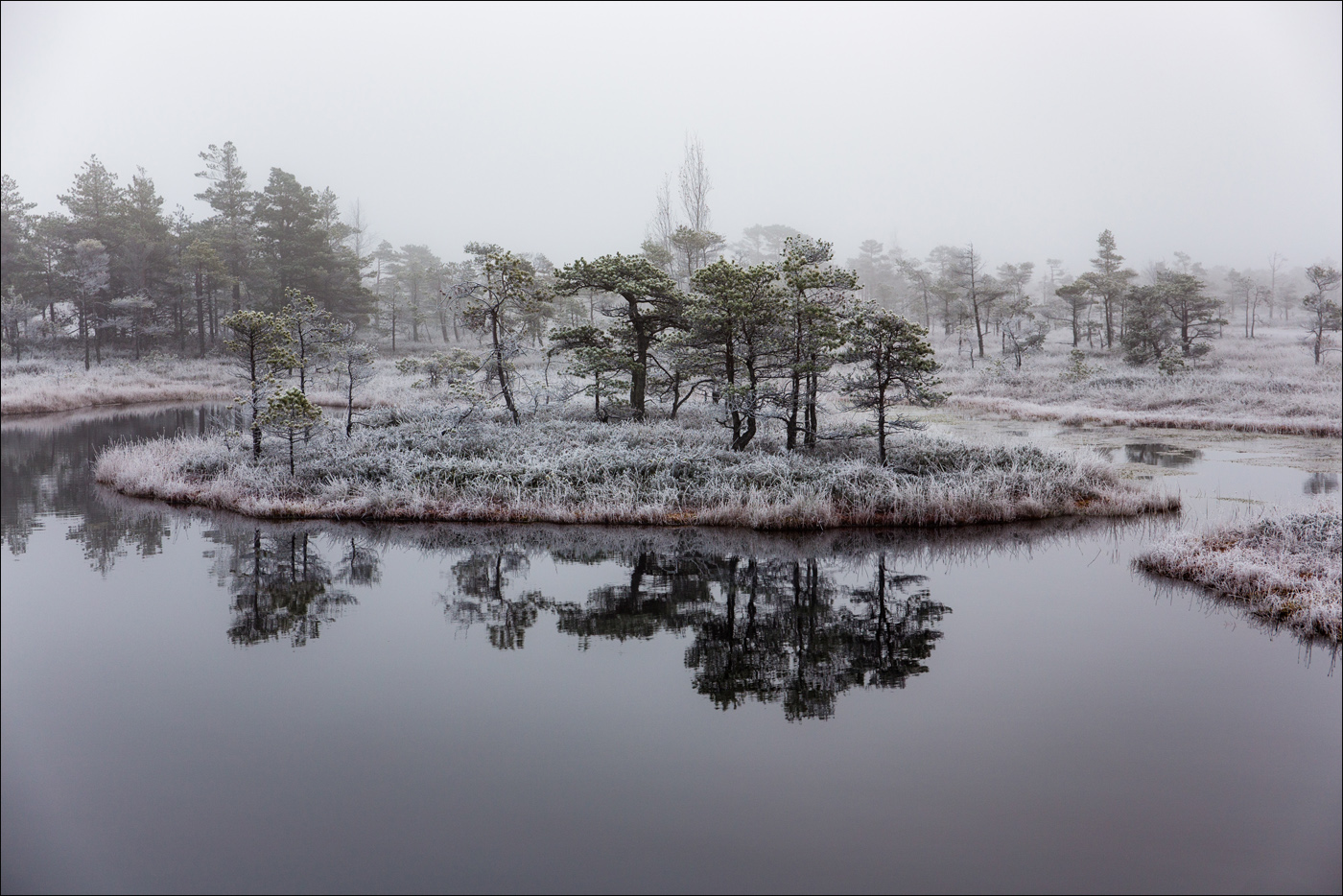 Иней и болото