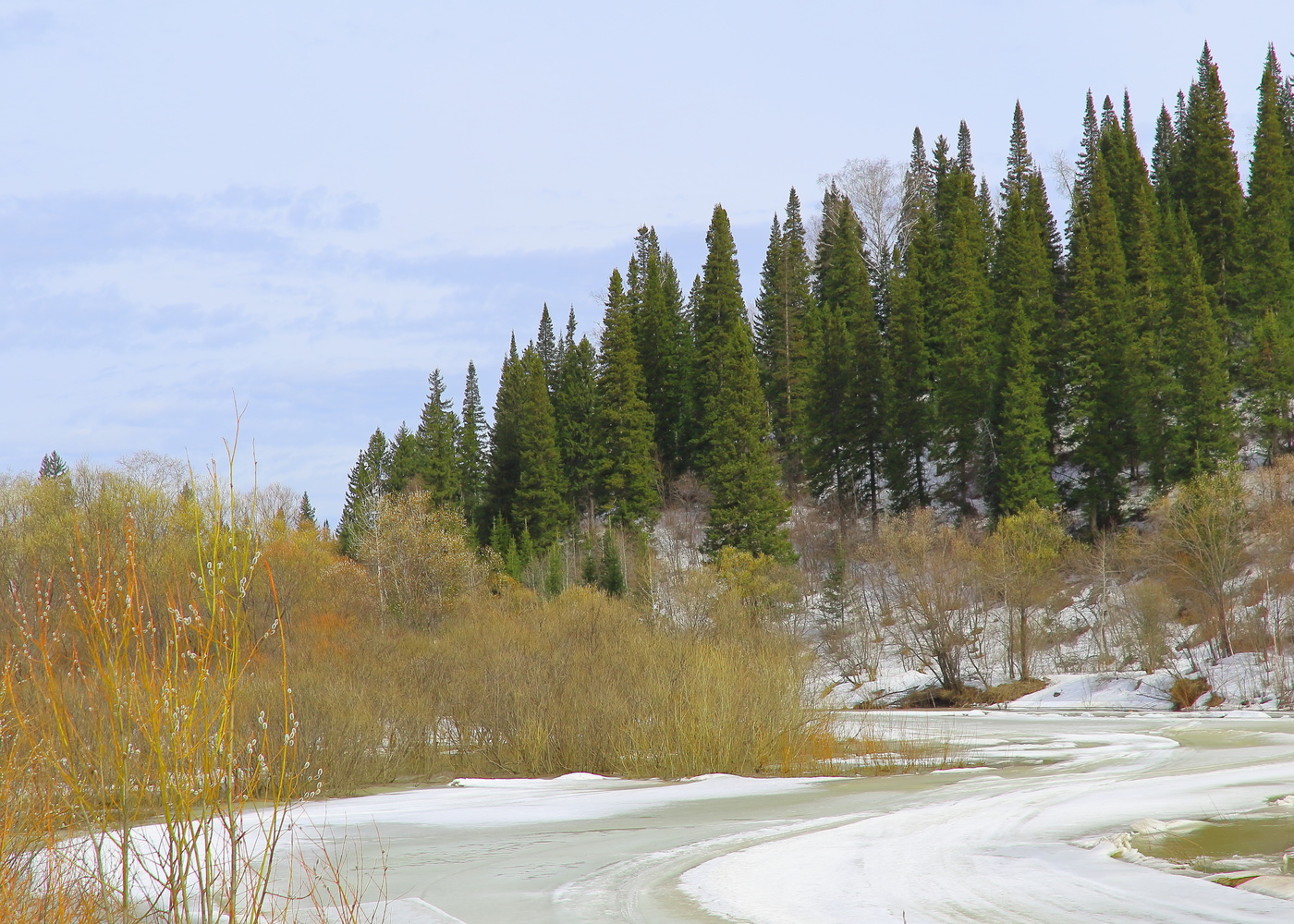 Перспектива покажет