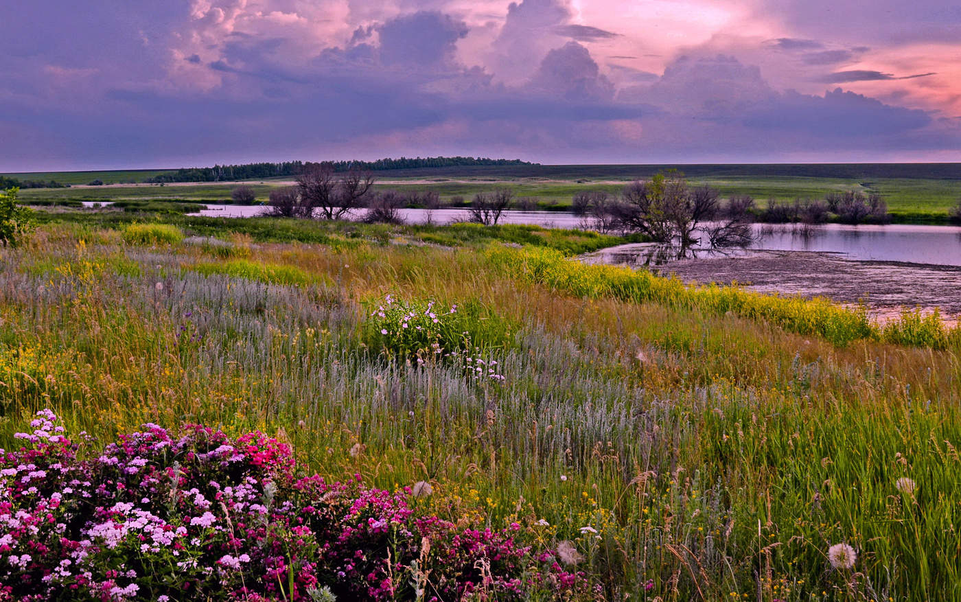 Приволжские степи весной