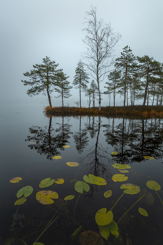 Состояние ожидания