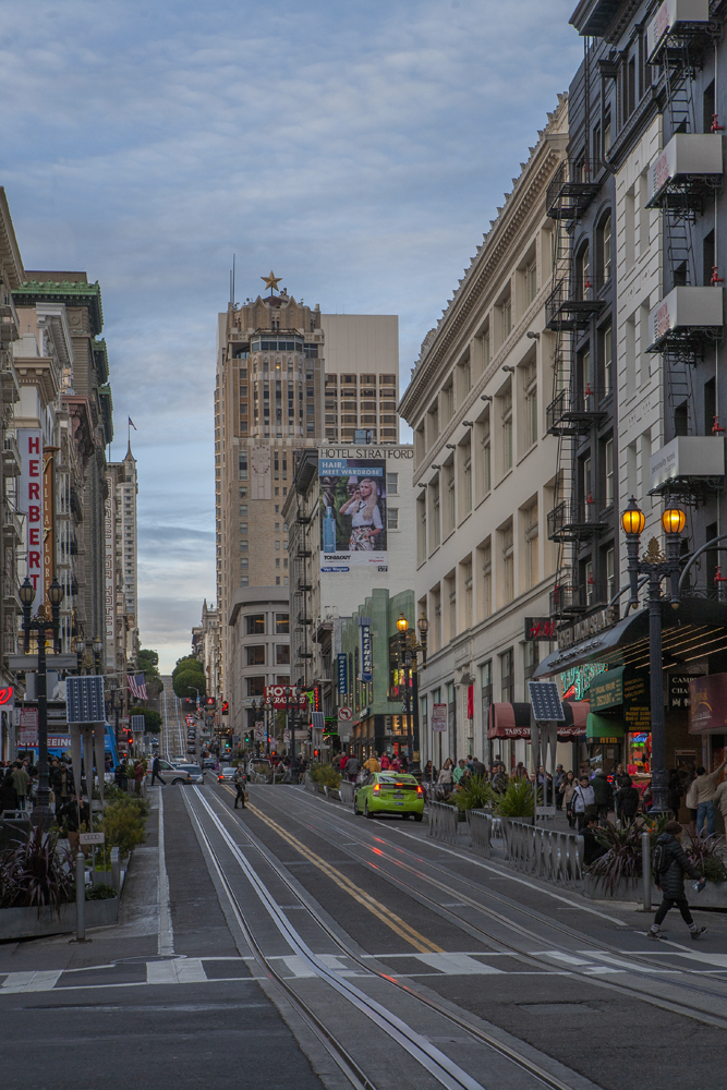 Перспектива покажет