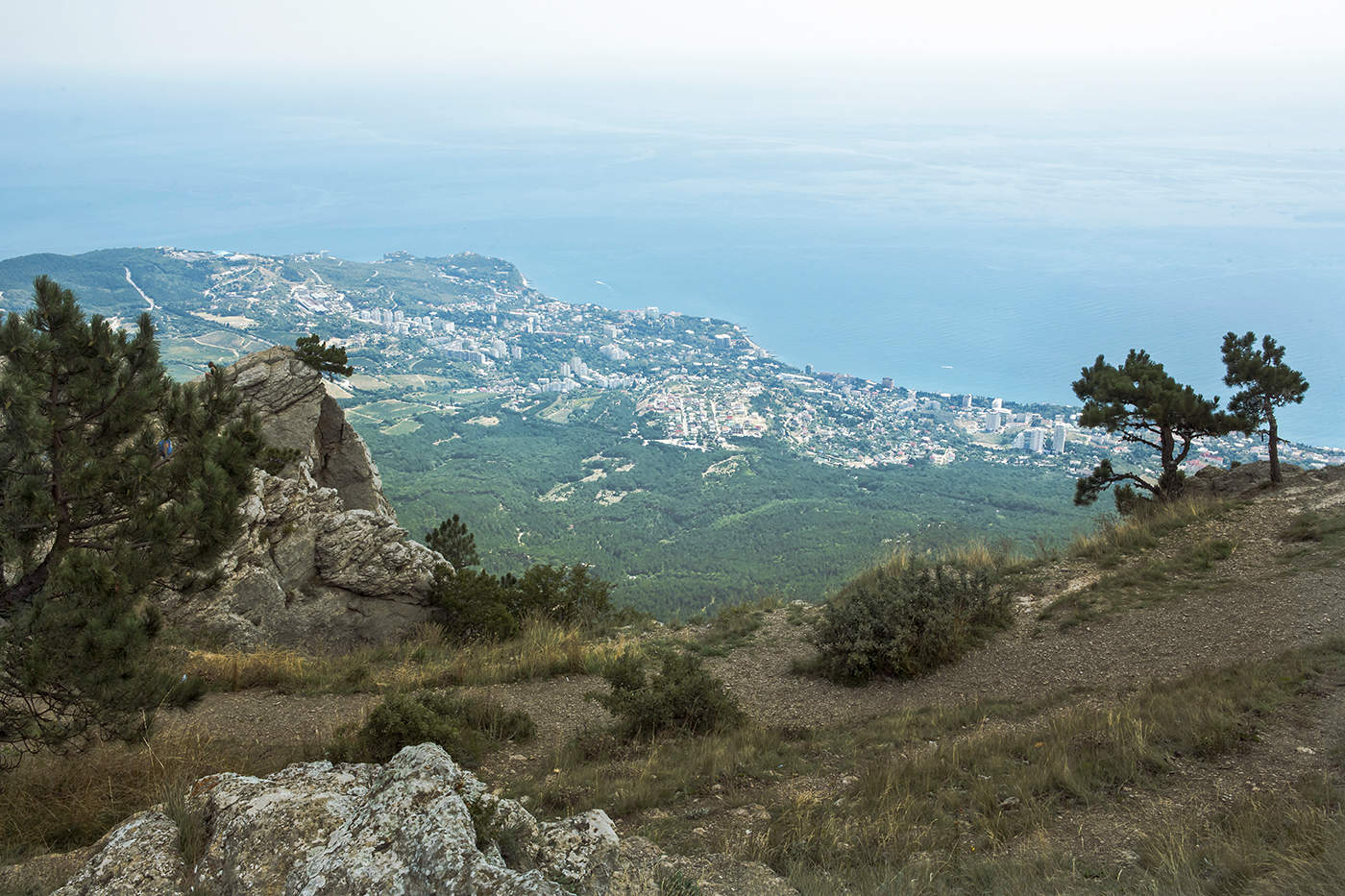 Перспектива покажет
