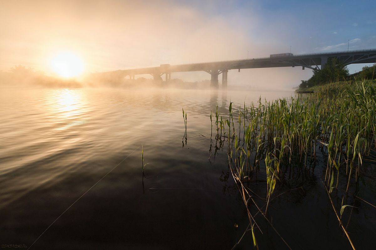 Паутинка над водой