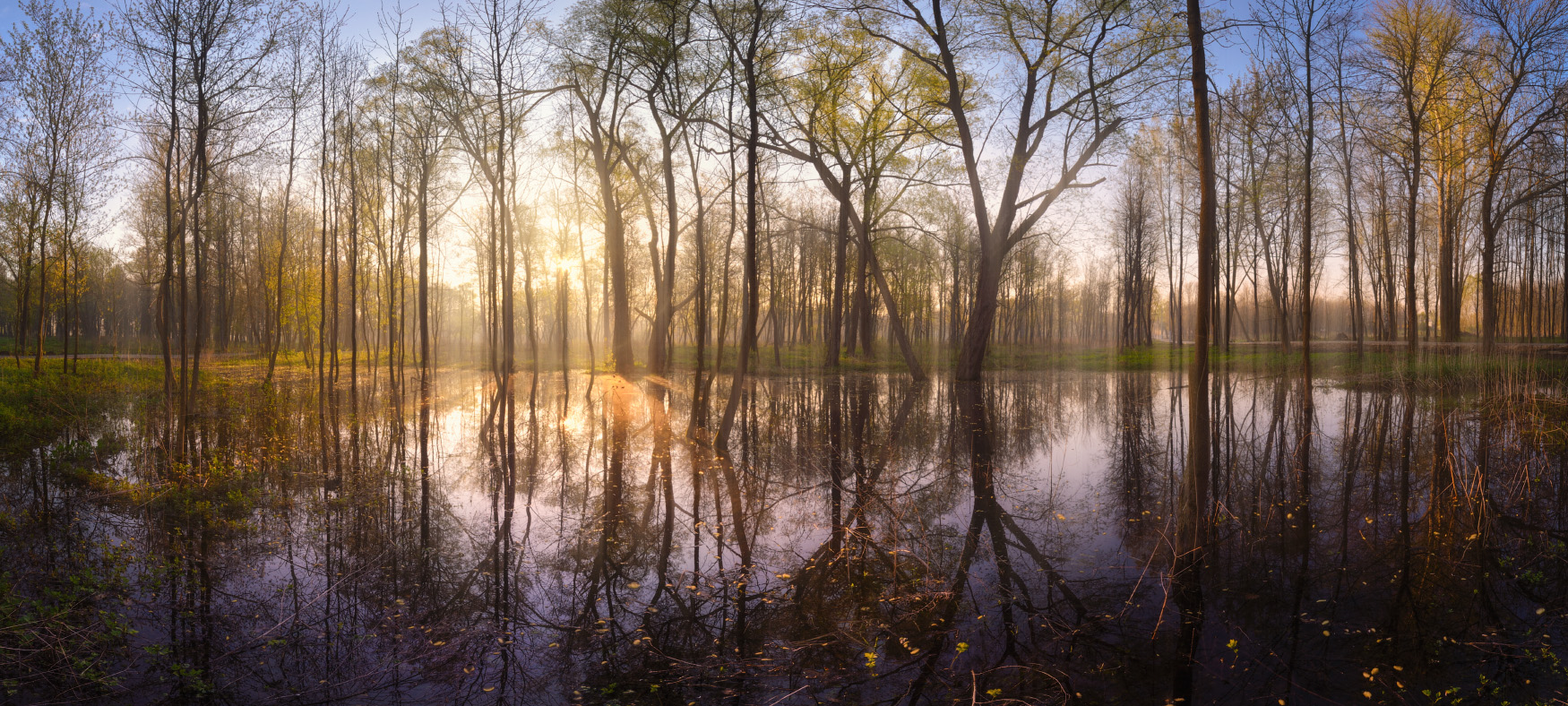 Баташевская весна
