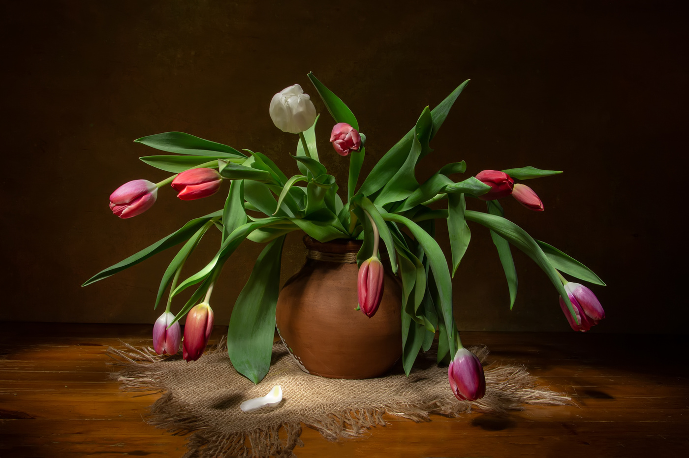 Трогательные...