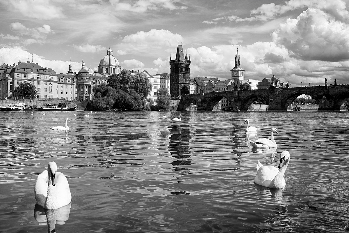 Разлилось серебро Влтавы