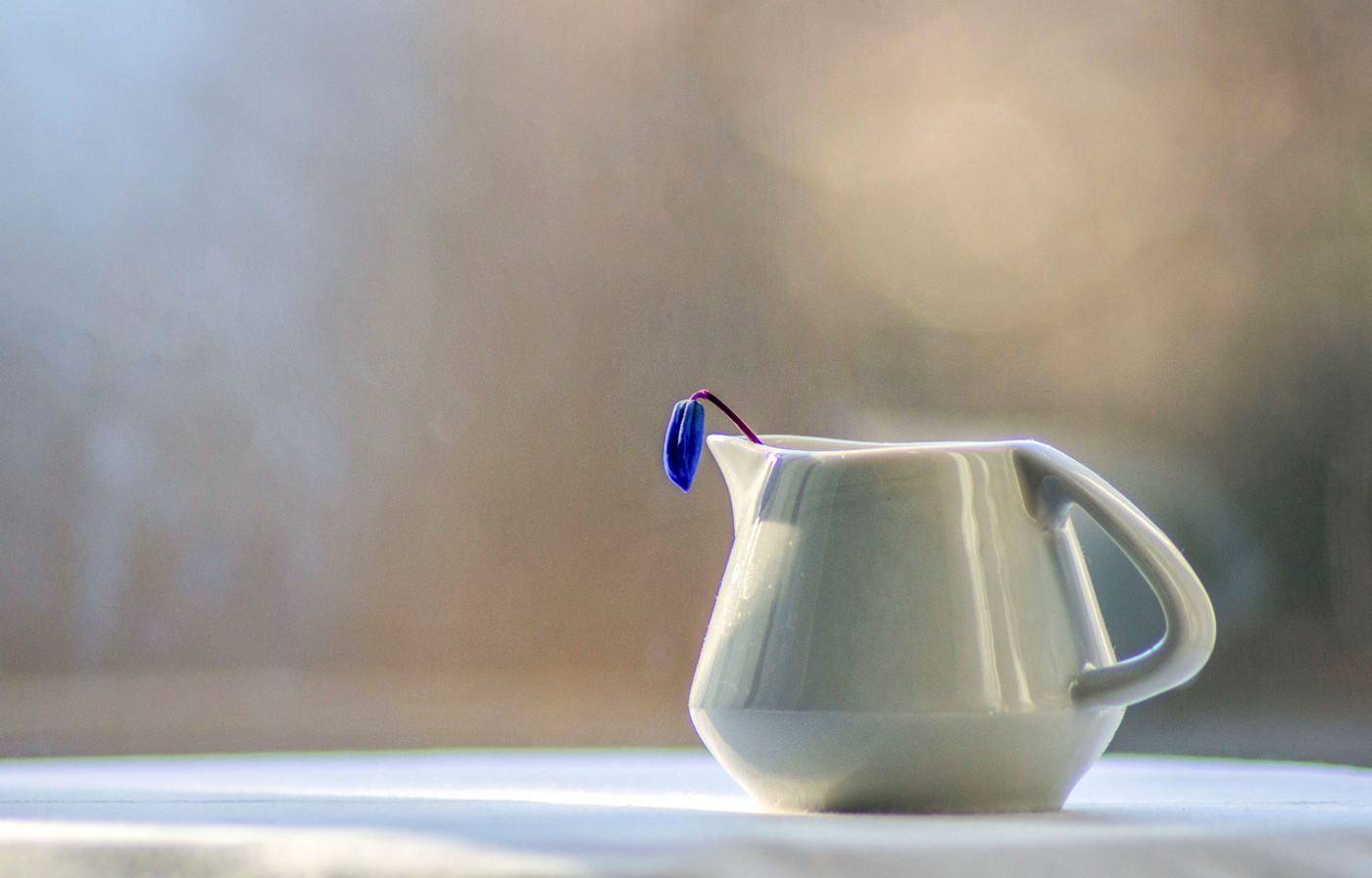 Весеннее соло