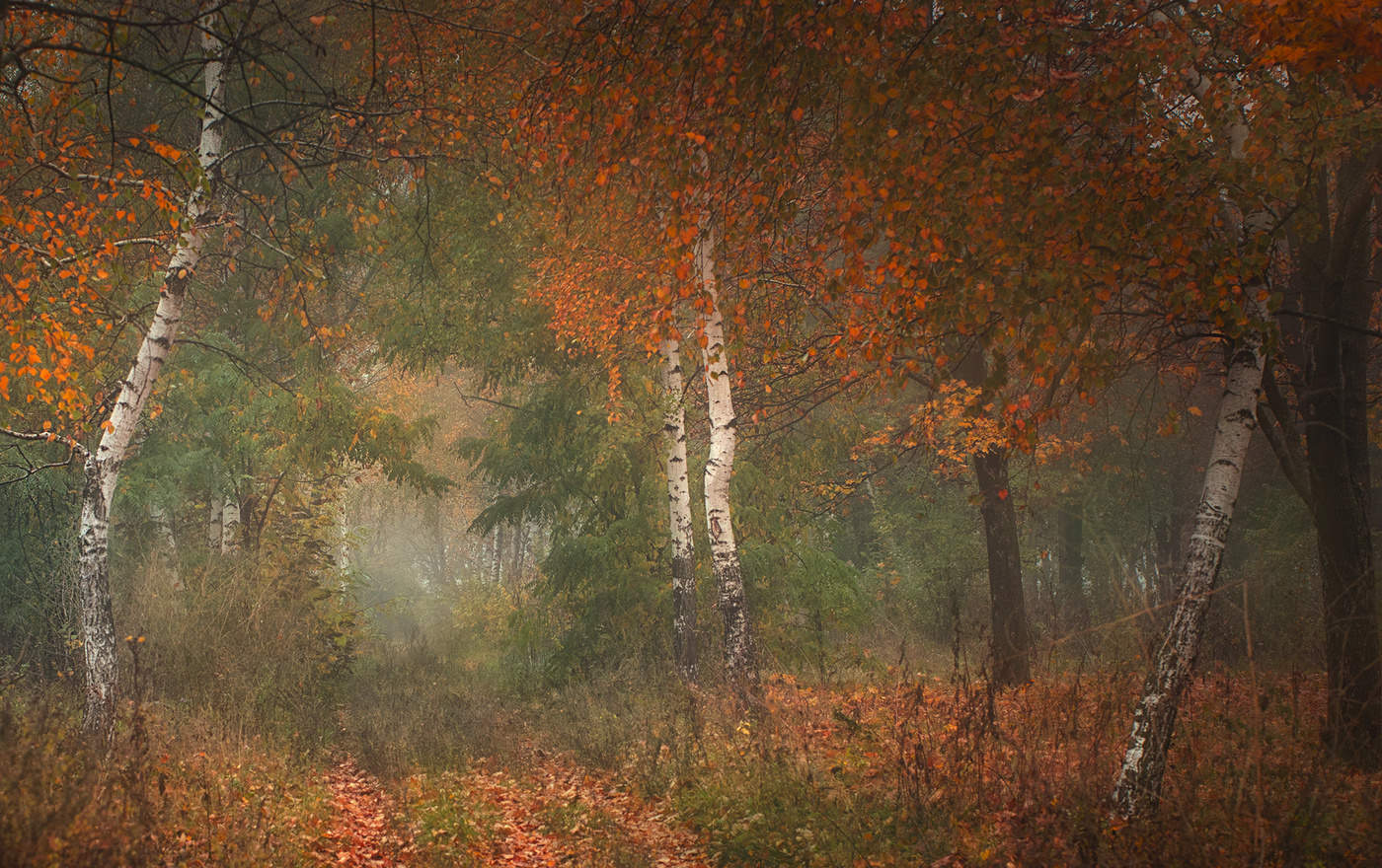 "комсомольский" парк