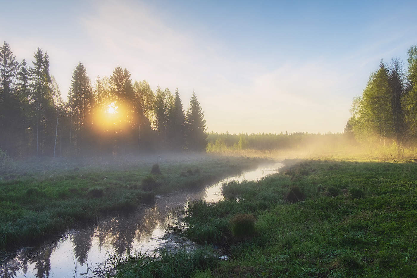 Рассветная благодать