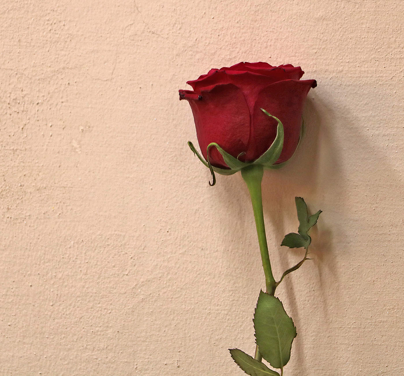 С праздником!