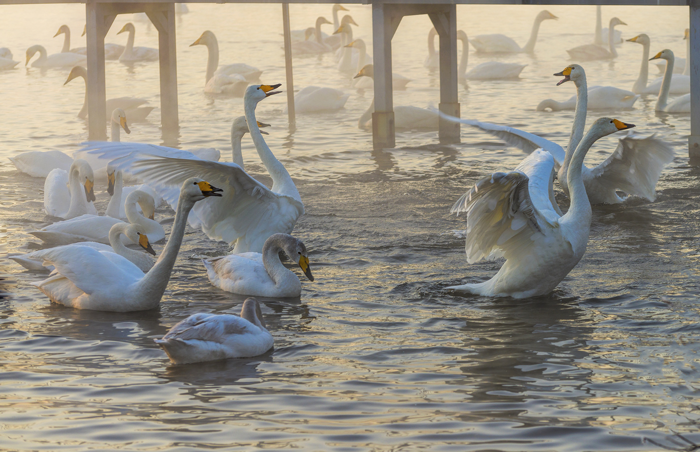 тревожные танцы