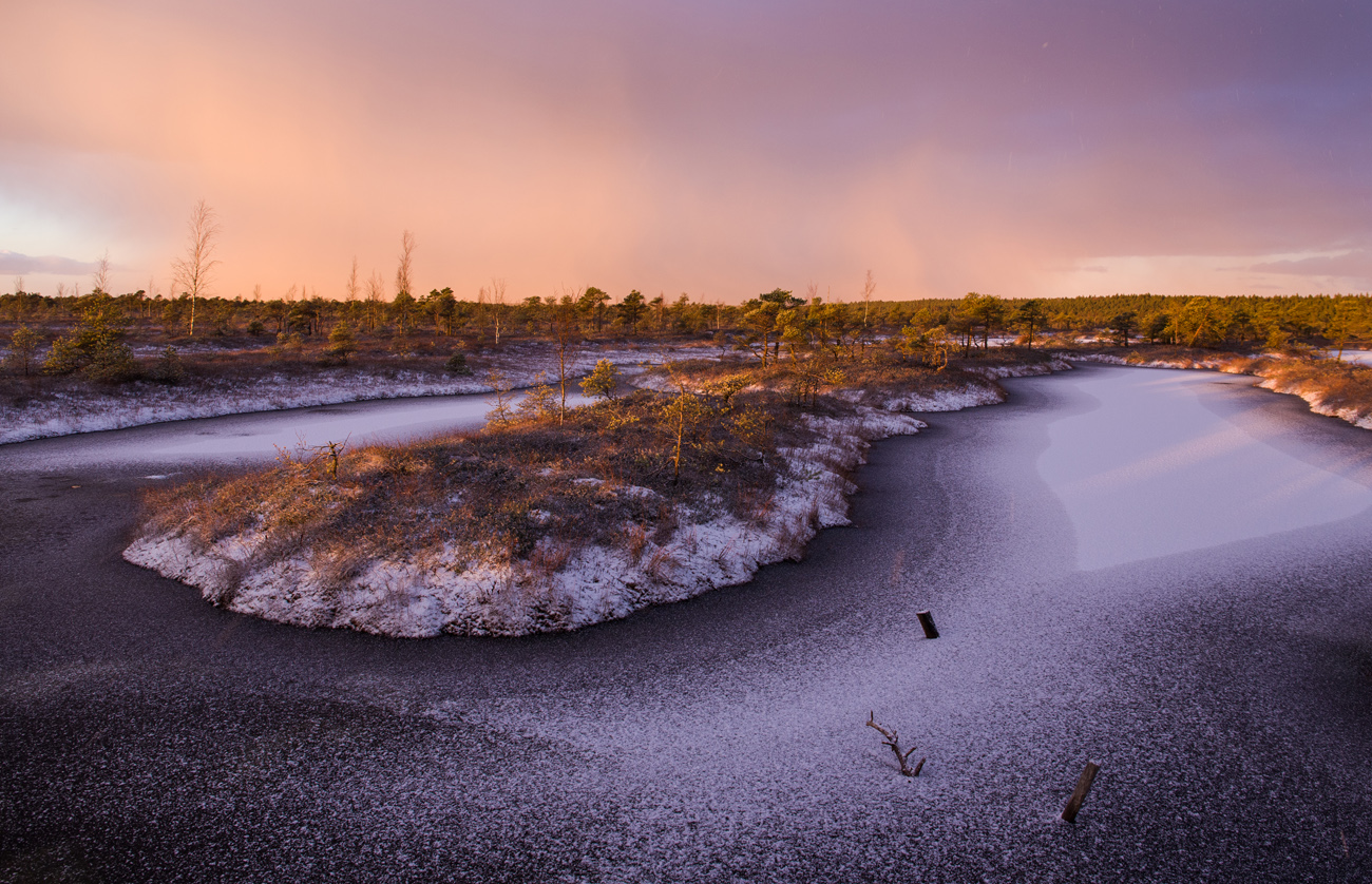 Фиолетовый рассвет