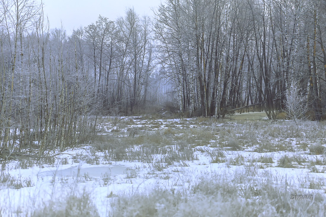 пастельные тона