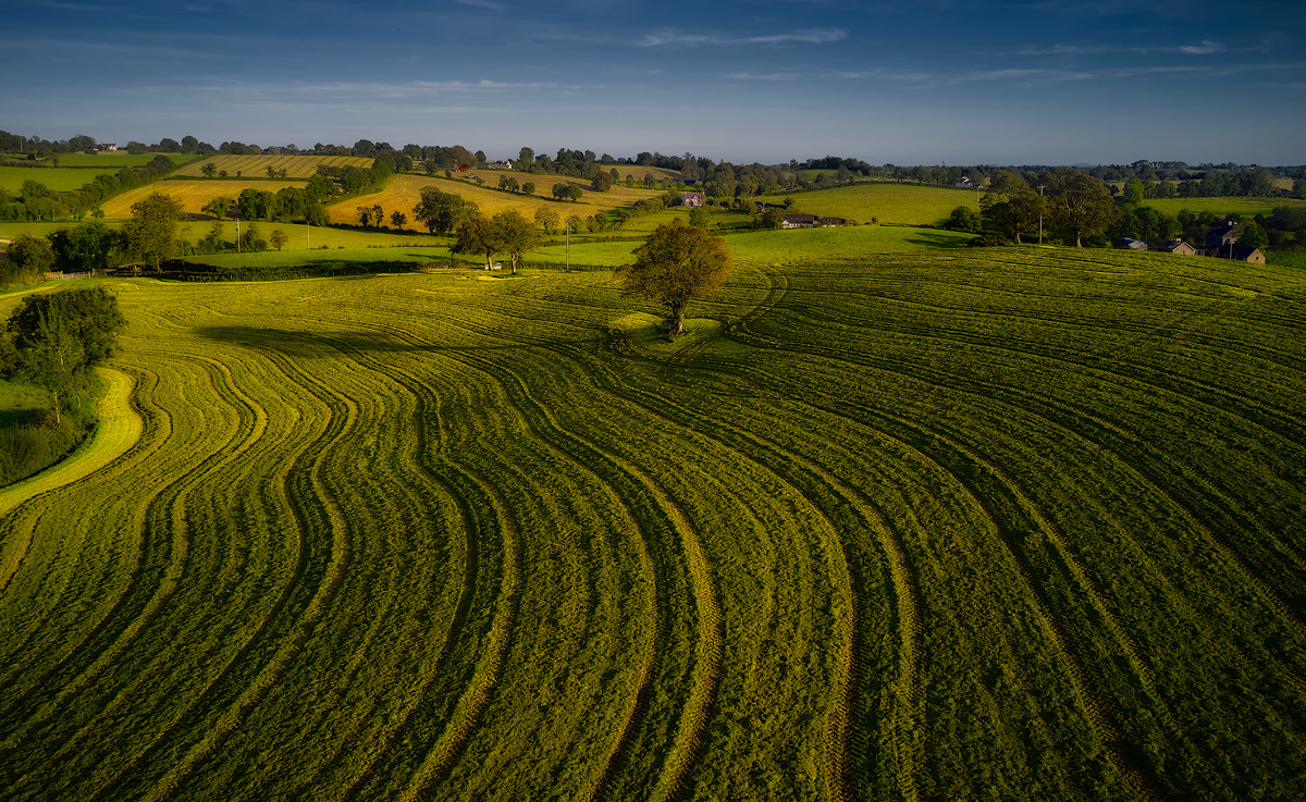 Вечерелло...