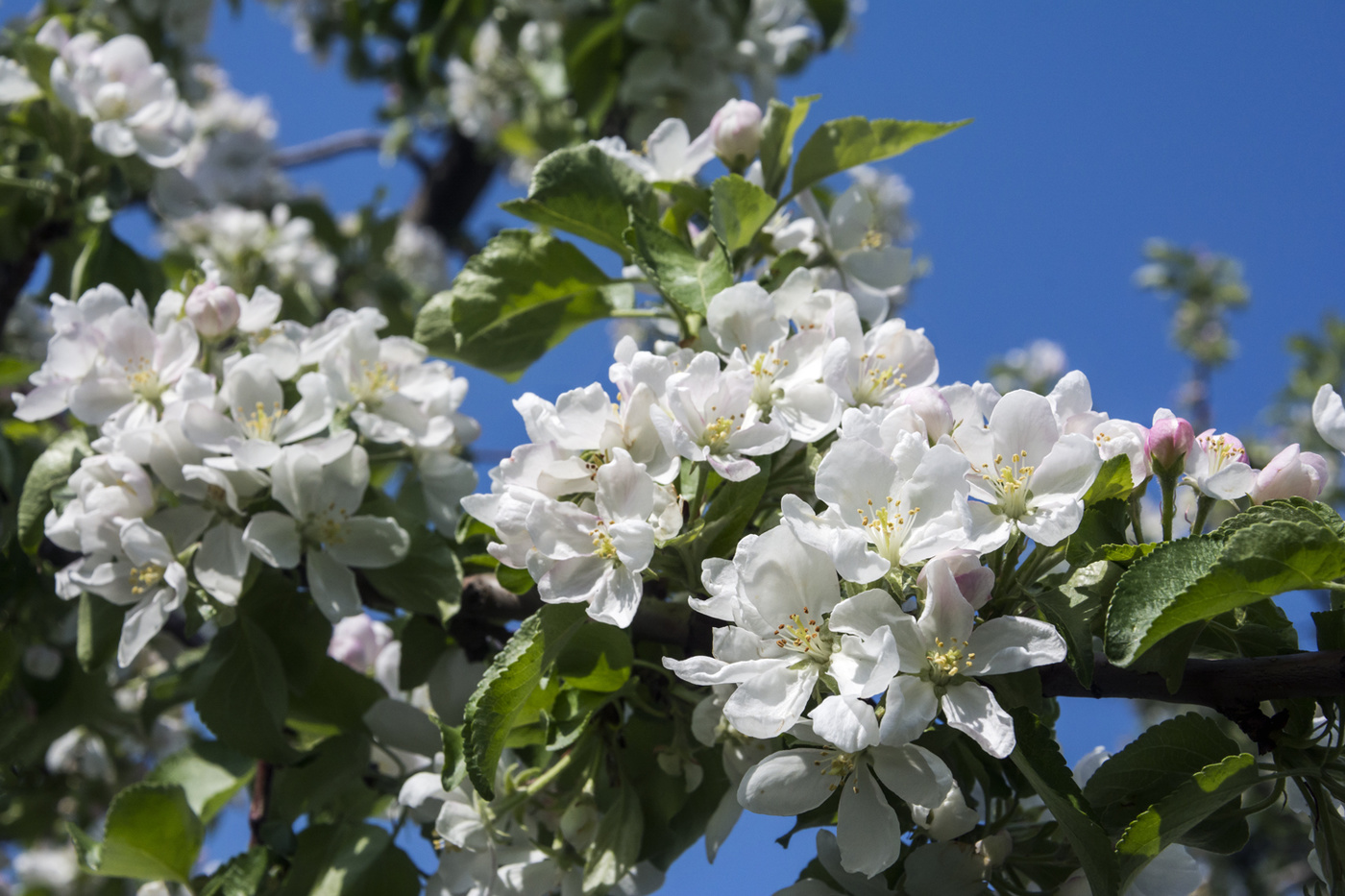 Уже скоро...:)