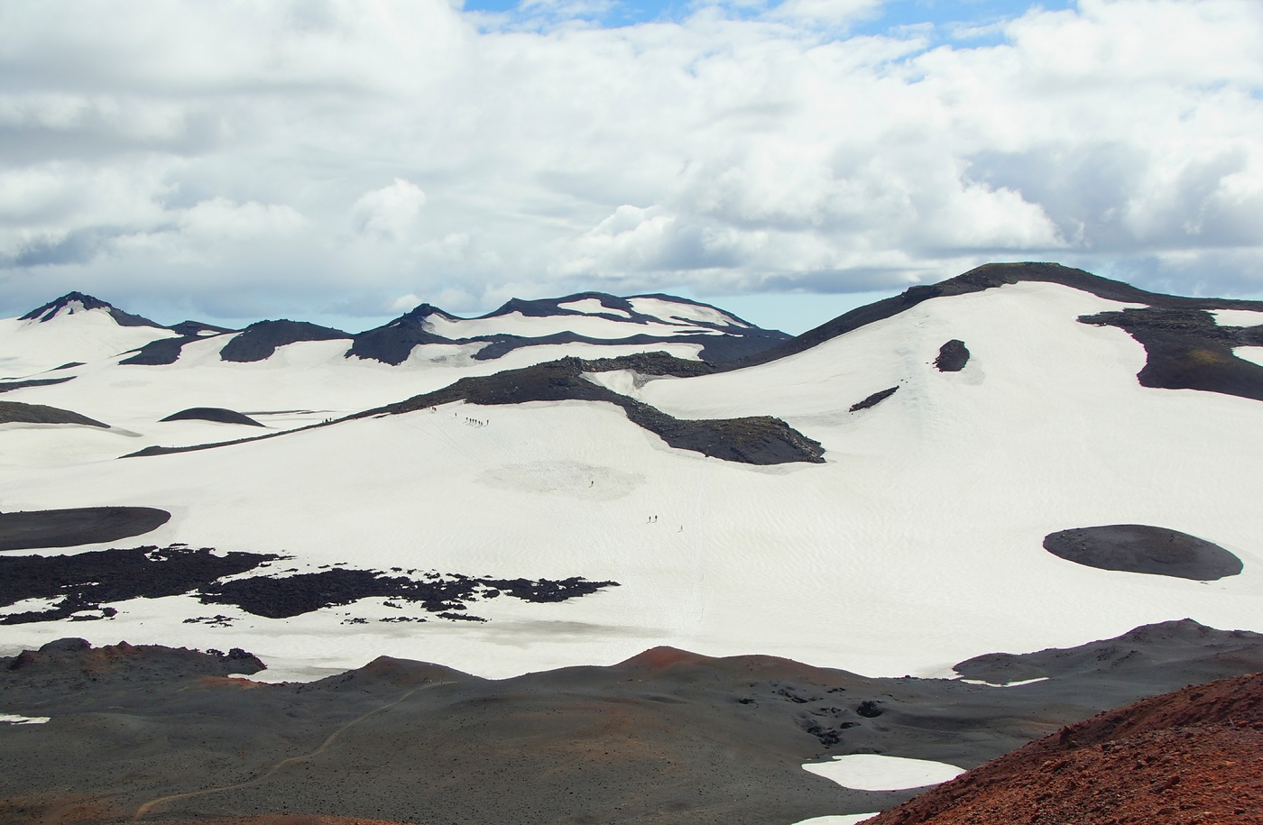 Летняя прогулка