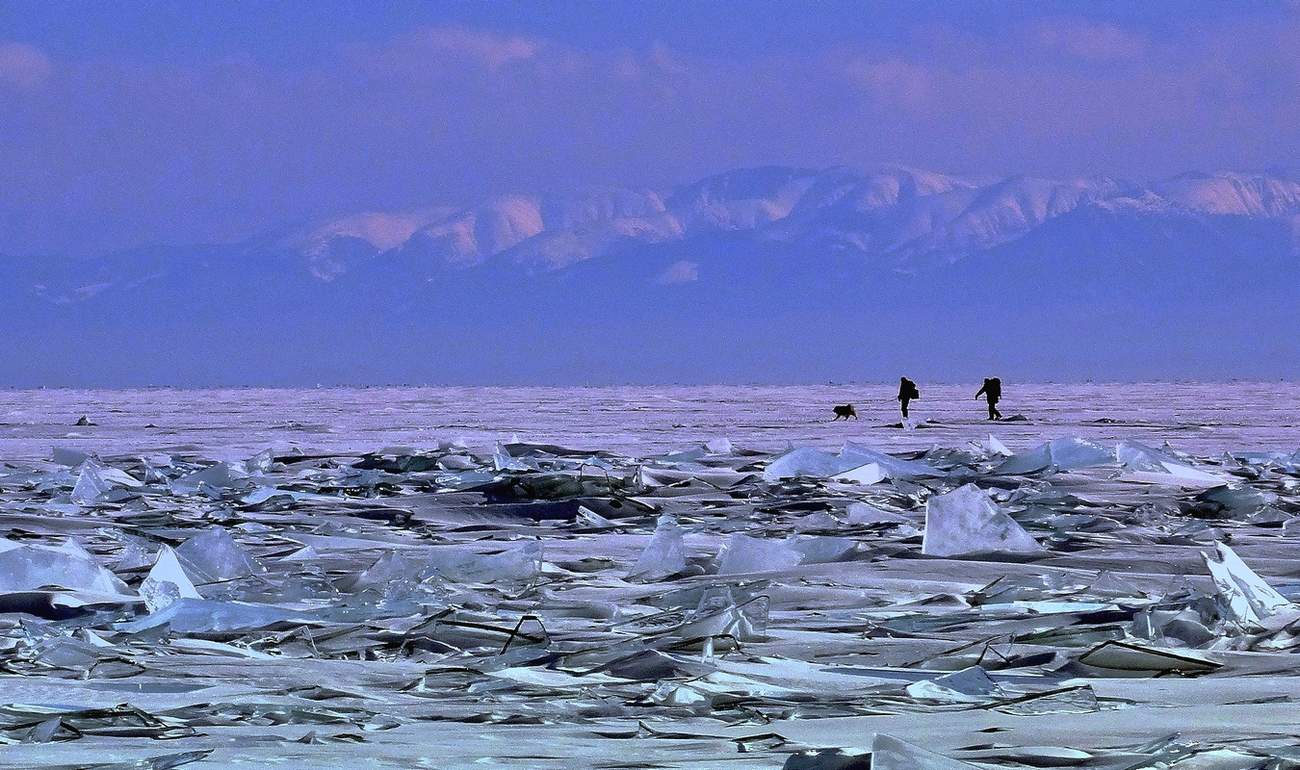 По Байкалу на лыжах с собакой