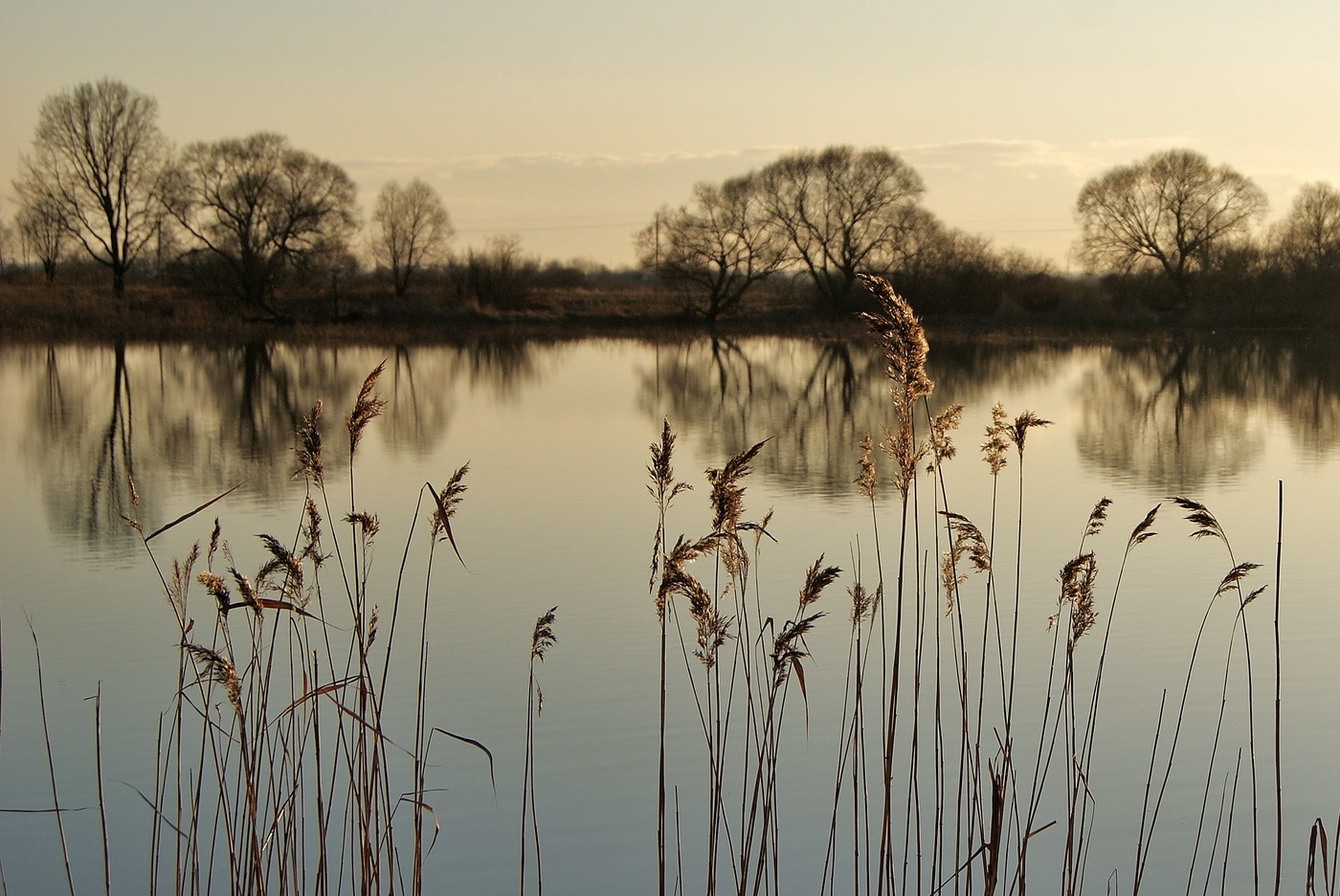 весенним вечером