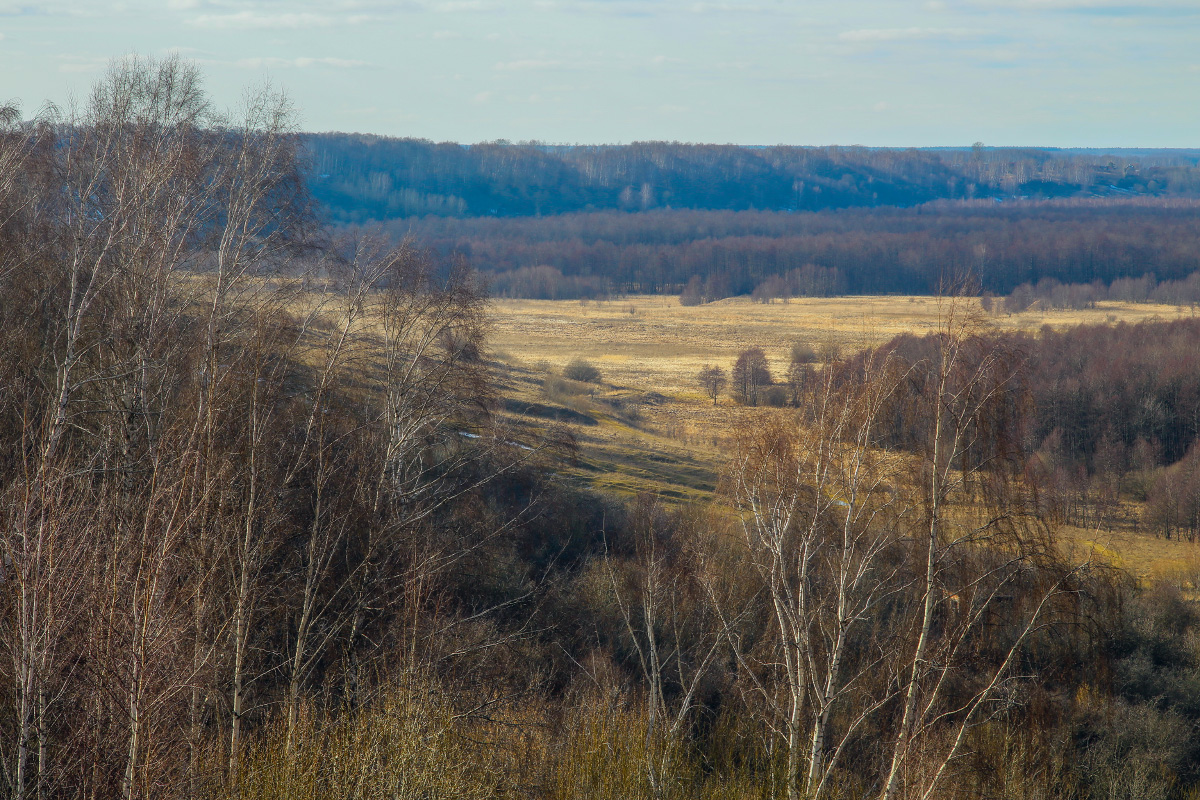 Весенний шум