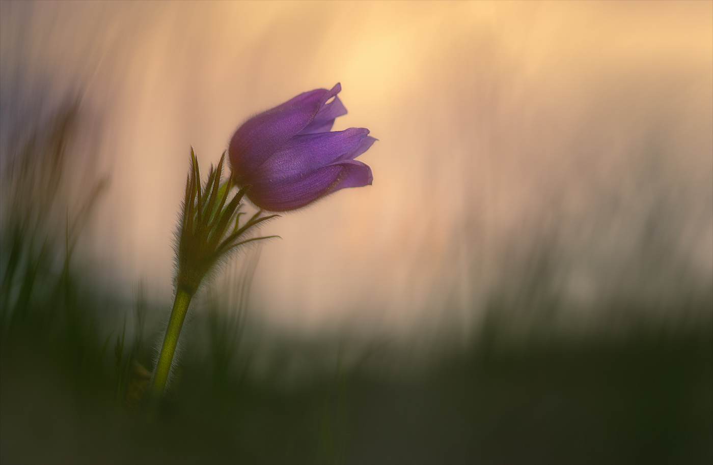 Вдыхая весну.