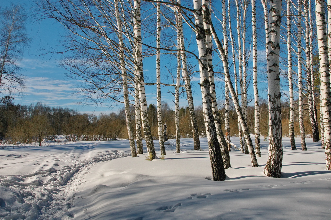 Мртовский денёк.