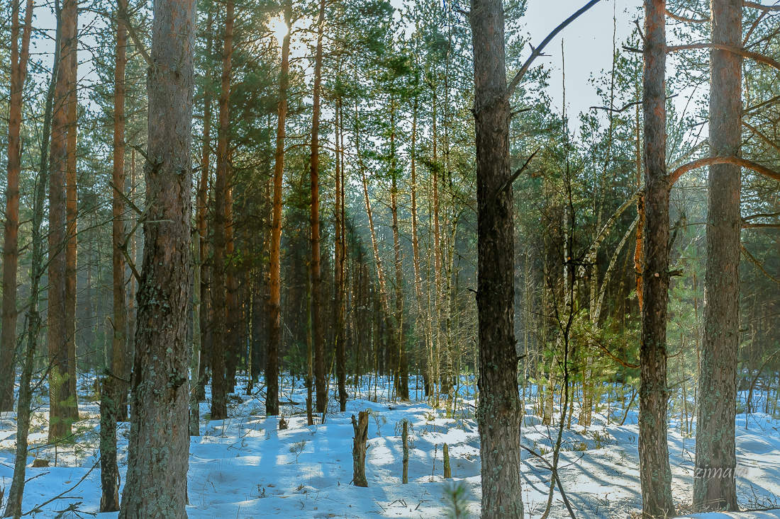 прекрасная погода