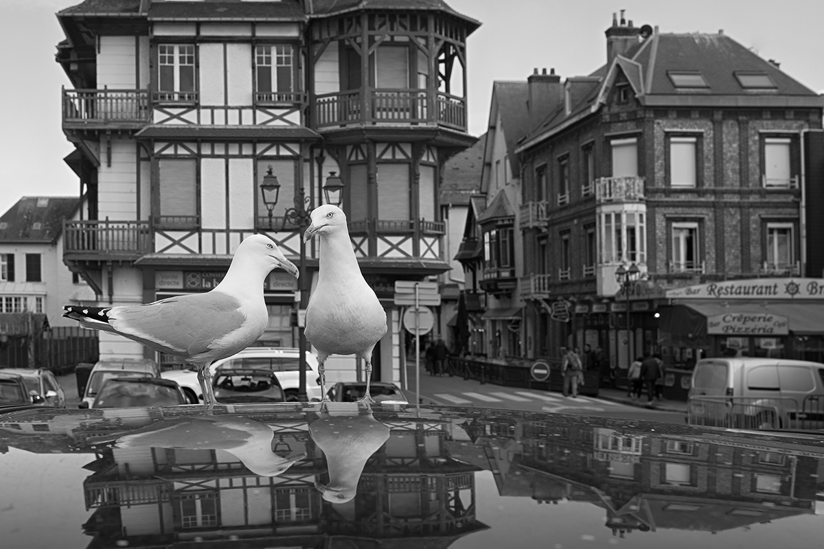 Заговорщики