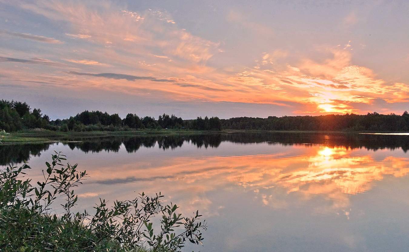 Летние грёзы