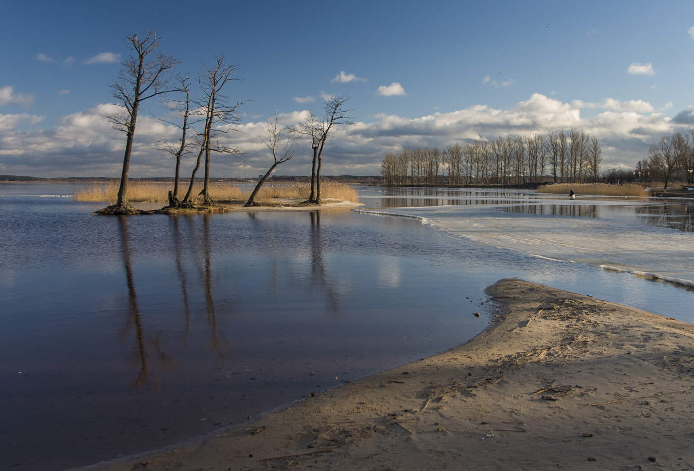 Один на льдине
