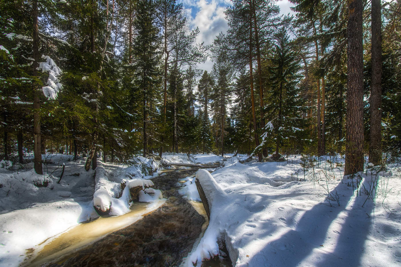 Весеннее настроение