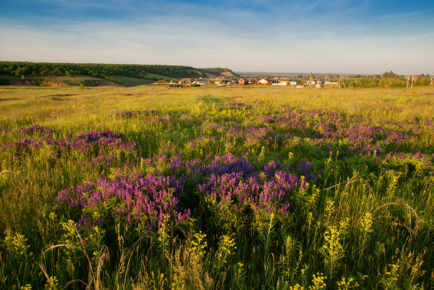 За околицей