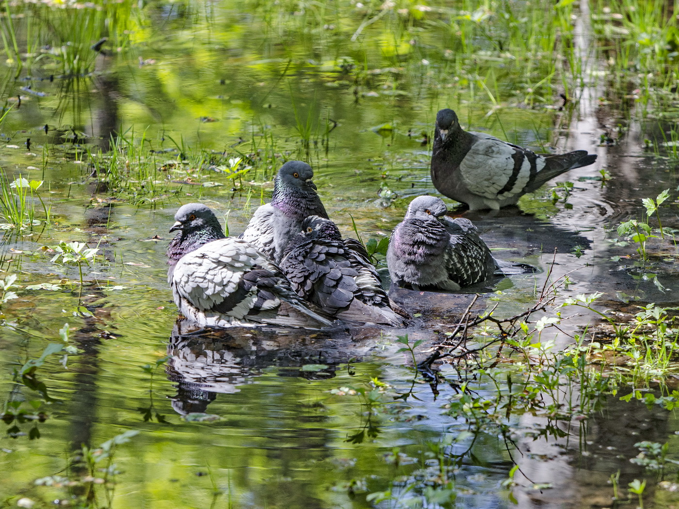 Вырвались из города.