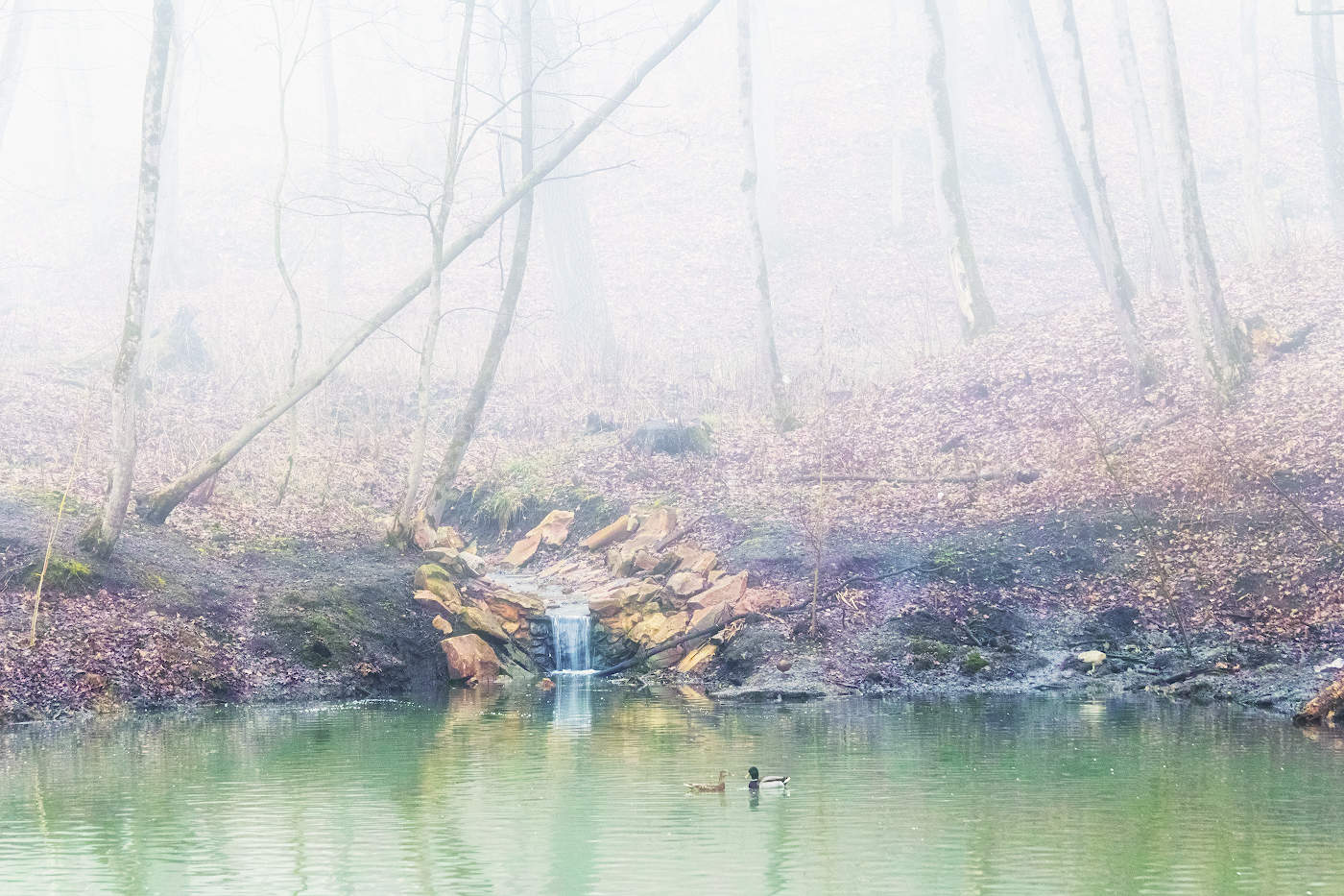 Брачный период