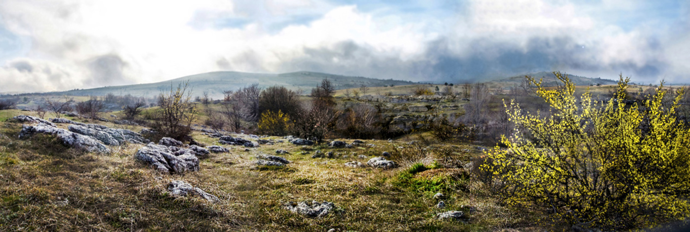 Весенние туманы