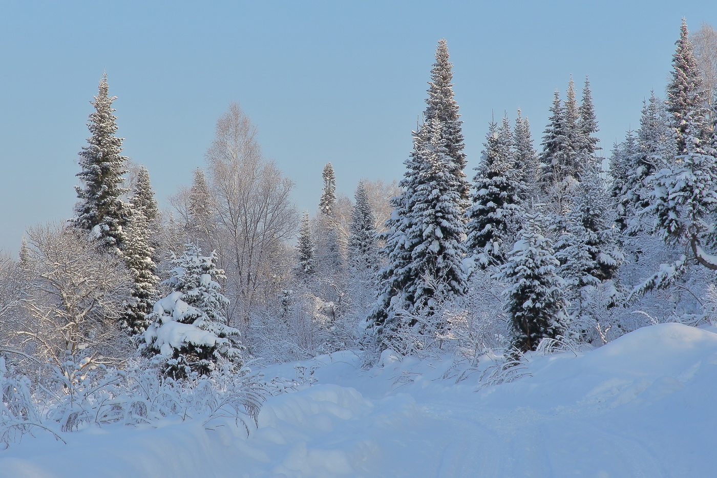 Морозный день