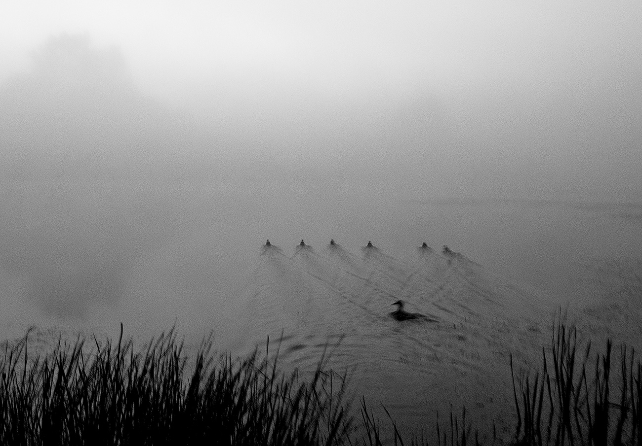 Под прикрытием