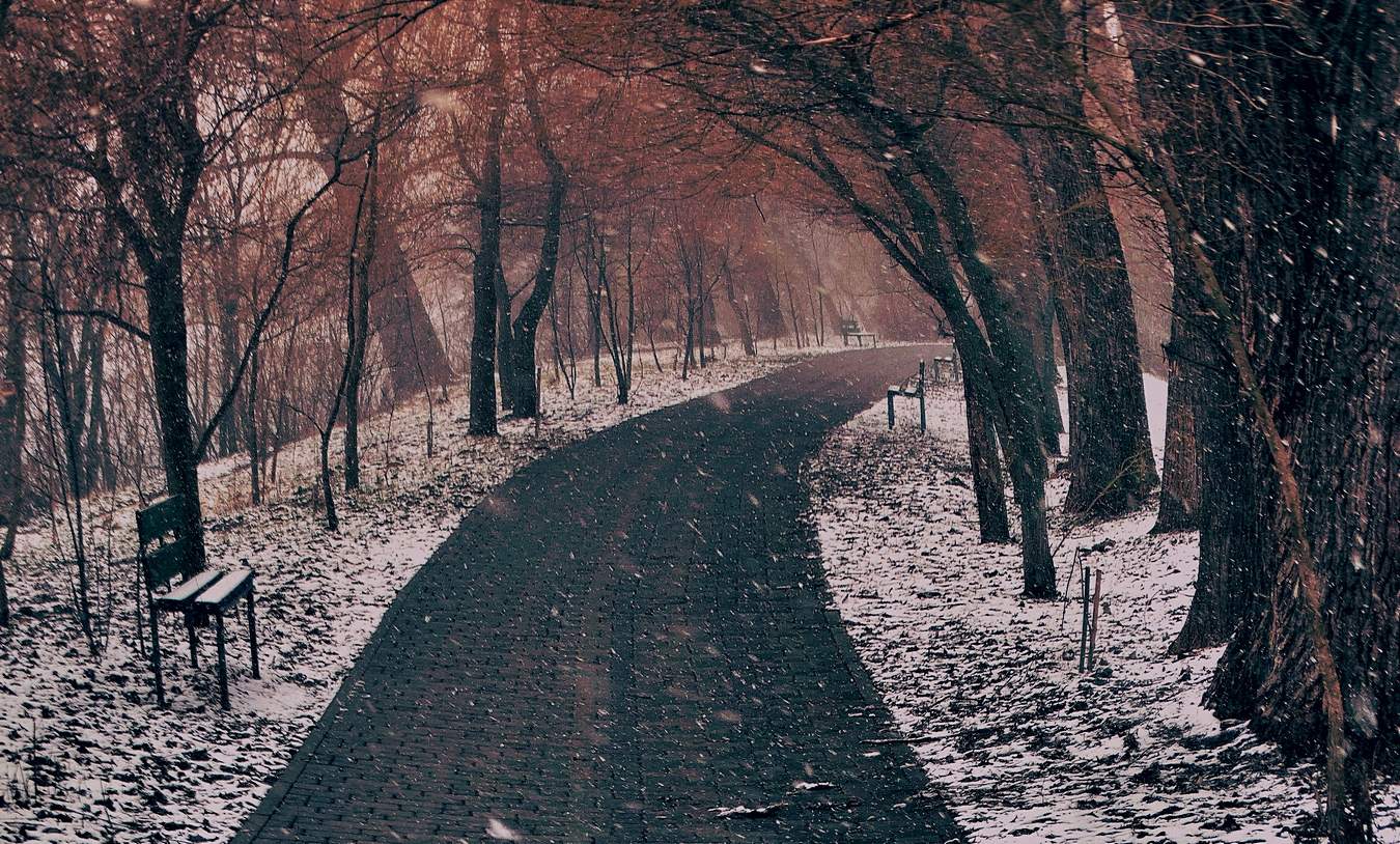 Зима вернулась в марте