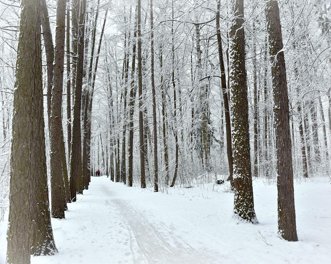 Год особый, - високосный.