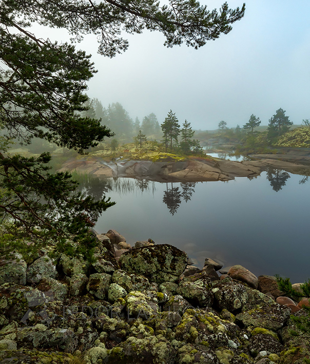 Штиль в бухте