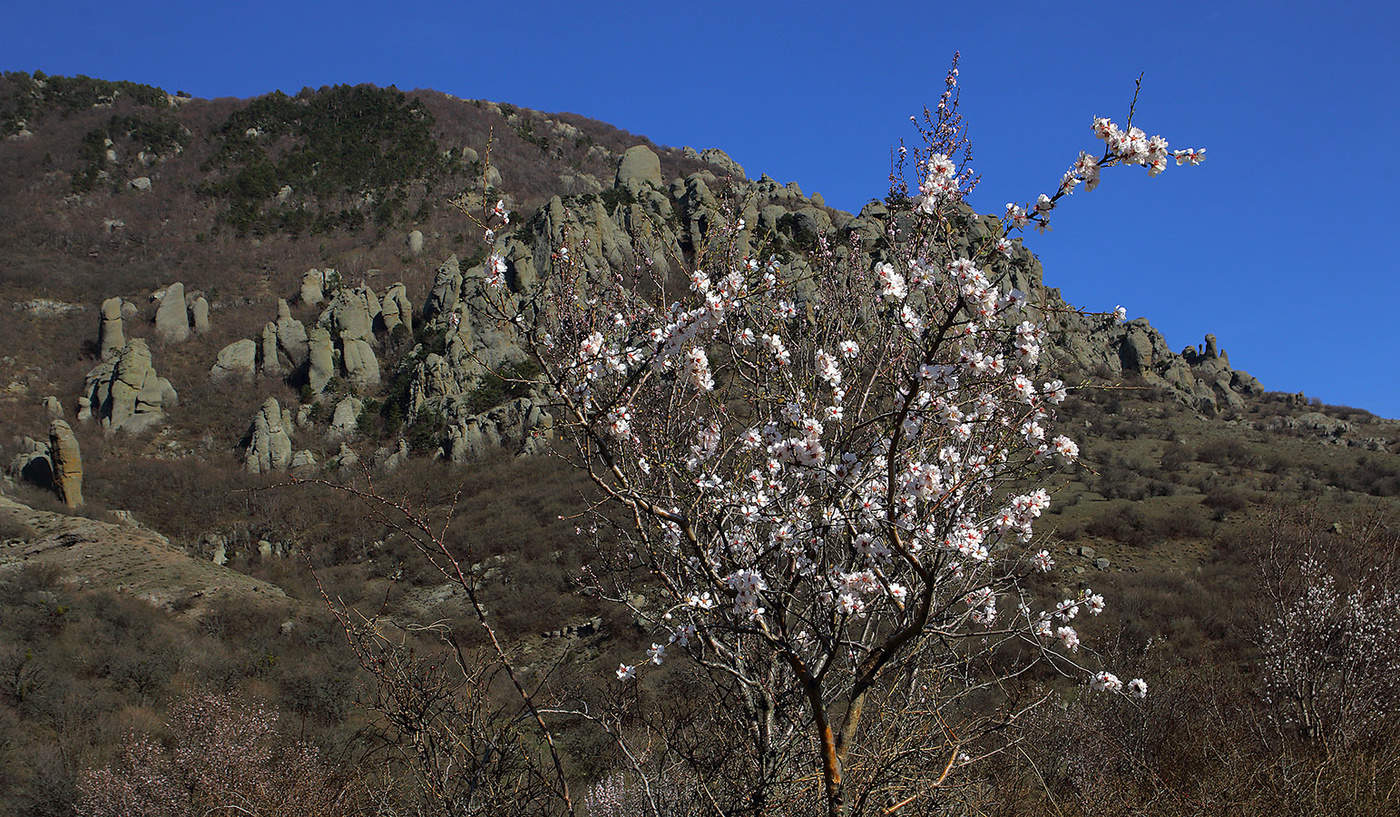 Весна в Долине Привидений