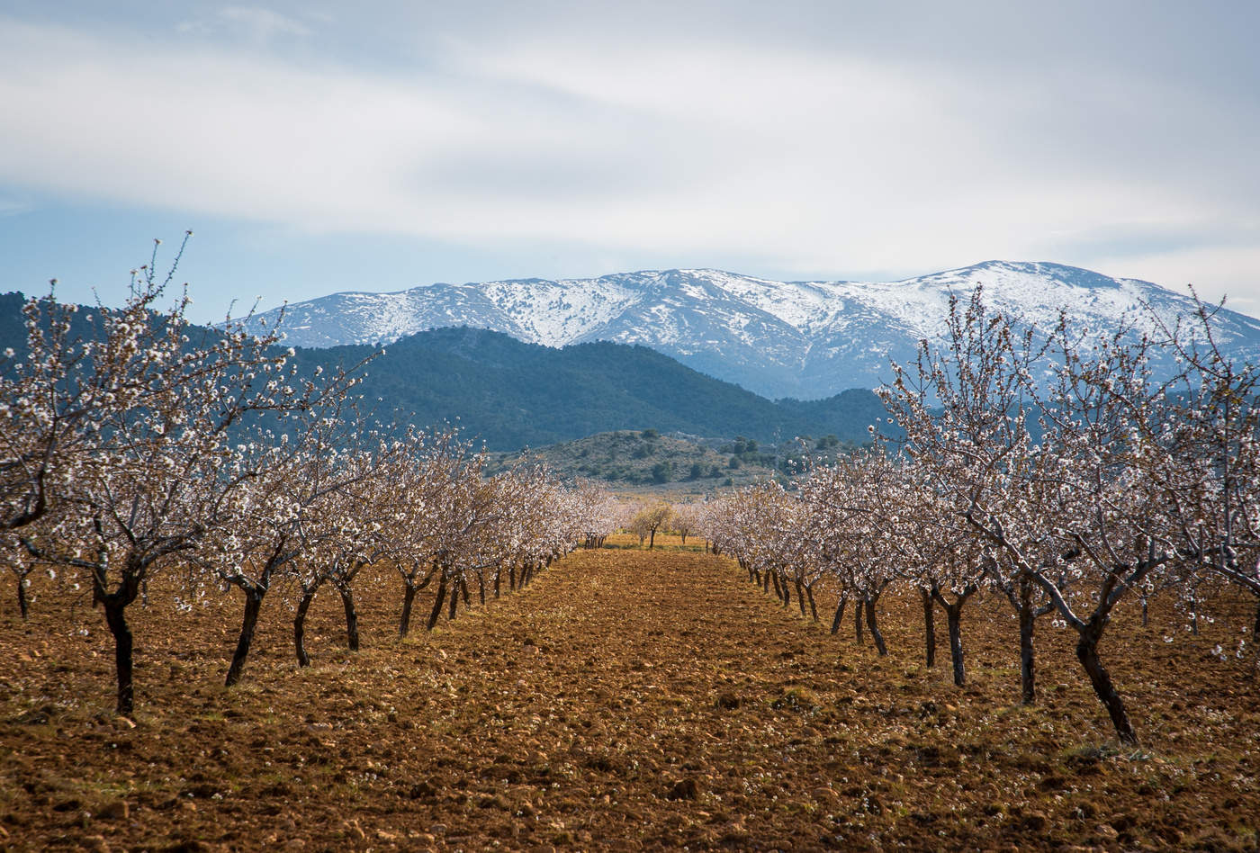 На фоне гор