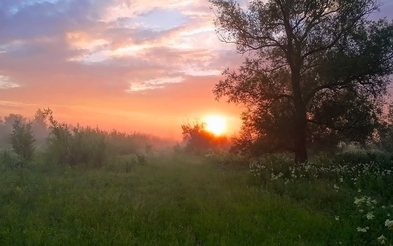 Летний рассвет