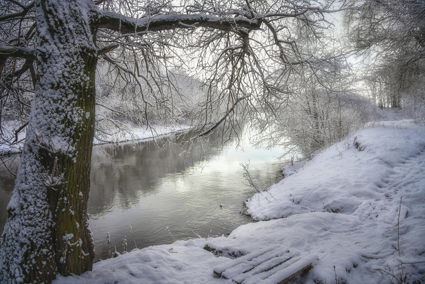Серебряное утро