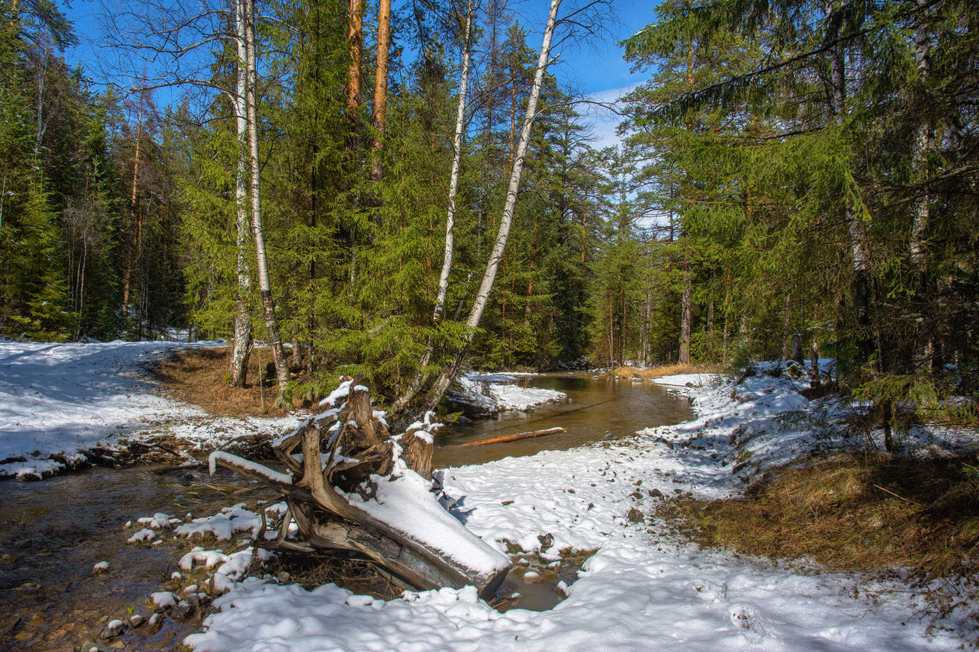 Вот и кончилась зима